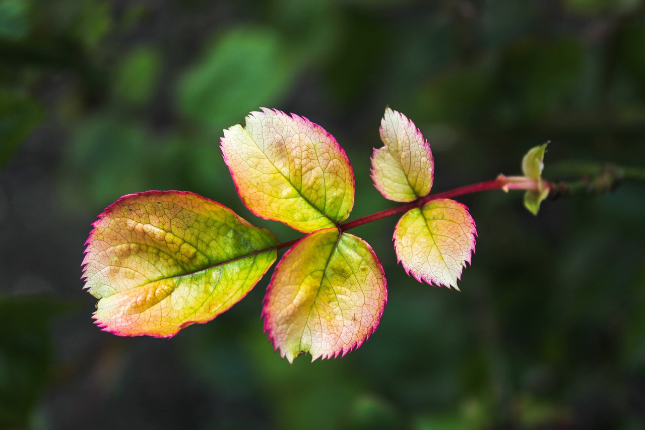 cor verde significado — natureza crescimento e sustentabilidade no marketing e branding