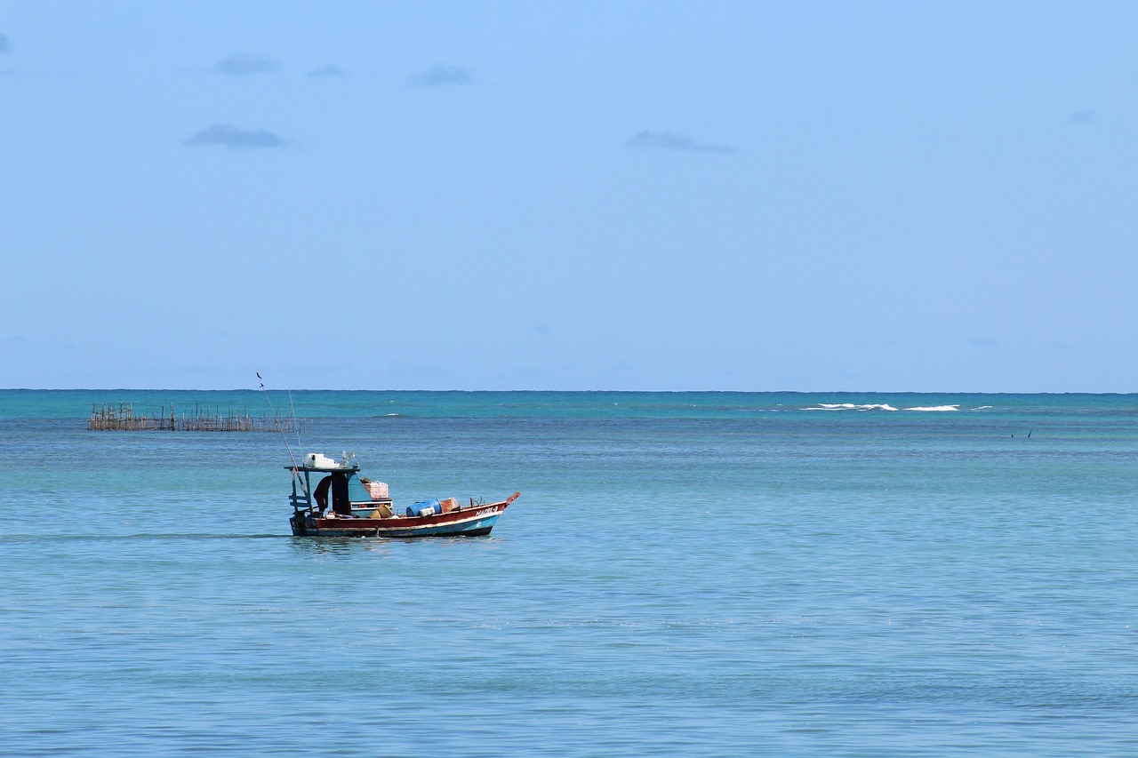 Criação de Sites em Maceió: guia completo para empresas que querem crescer online em 2026