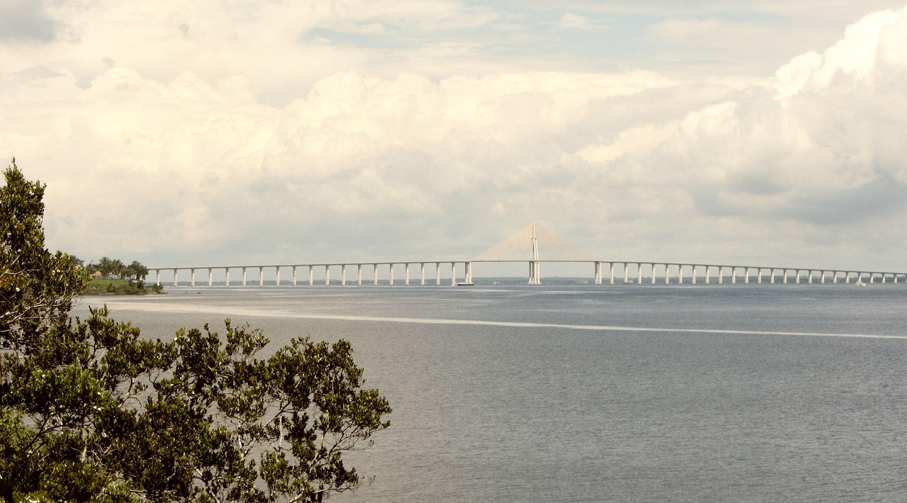 Criação de Sites em Manaus: guia completo para empresas que querem crescer online em 2026